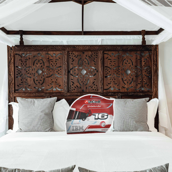 cdfdf Charles Leclerc F1 Pillow