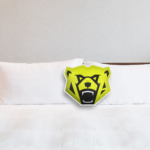 Ollie Bearman F1 Pillow - Custom Shaped
