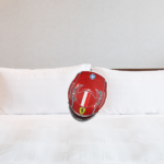 vgtddf Charles Leclerc F1 Pillow - Custom Shaped
