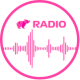 Customer Support Icon